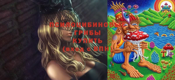 гашик Белоозёрский